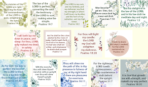 Bible Psalms Screenshot 0