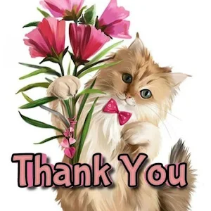 Thank You Images Screenshot 2