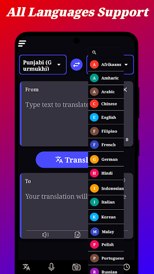 Punjabi Translation Screenshot 1