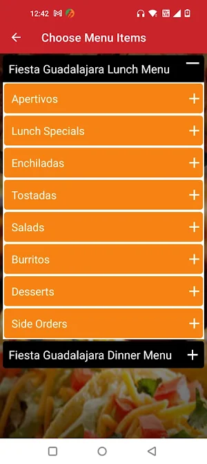 Fiesta Guadalajara Screenshot 3