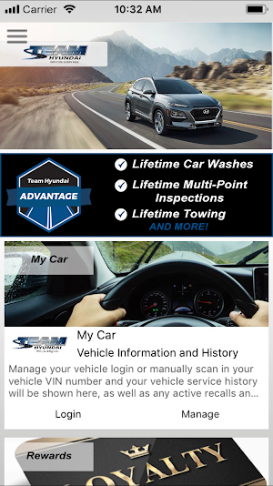Team Hyundai Screenshot 0