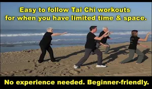 Tai Chi Fit TO GO Screenshot 2