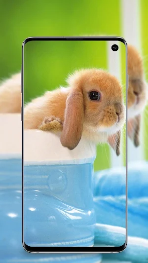 cute animals wallpaper Screenshot 0