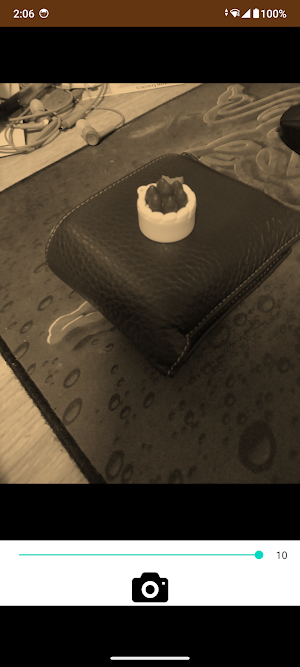 Sepia Camera Screenshot 2