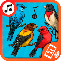 tonos de pajaros para celular