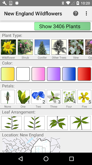 New England Wildflowers Screenshot 0