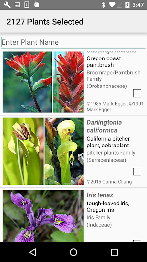 North California Wildflowers Screenshot 2