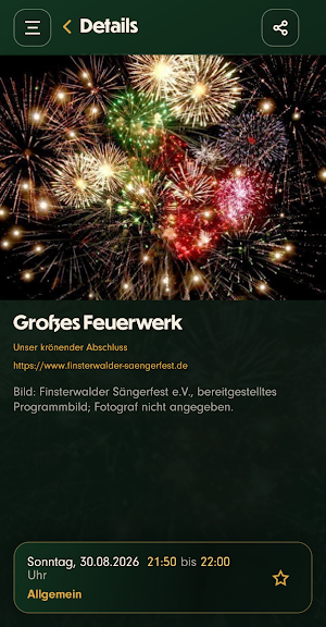 Finsterwalder Sängerfest Screenshot 2