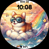 corgi dog_002