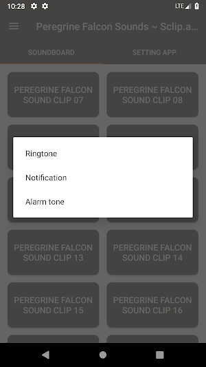 Peregrine Falcon Sound Collections ~ Sclip.app Screenshot 2