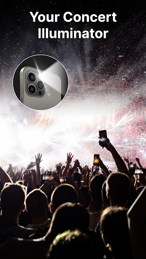 Flashlight Alert on Call & Sms Screenshot 2