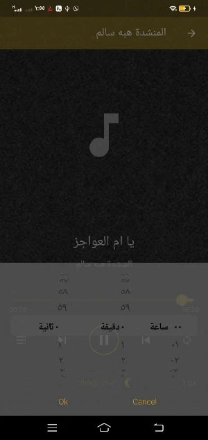 المنشدة هبه سالم اناشيد بدونت Screenshot 3