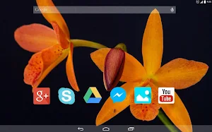 Flowers Bloom Screenshot 3