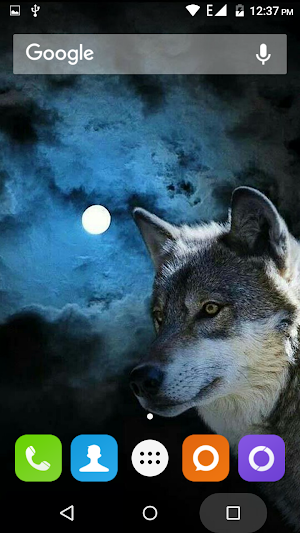 Wolf Hd Wallpaper Screenshot 0