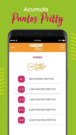 Madison Pass Screenshot 2