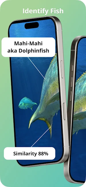 Identify Fish Screenshot 0