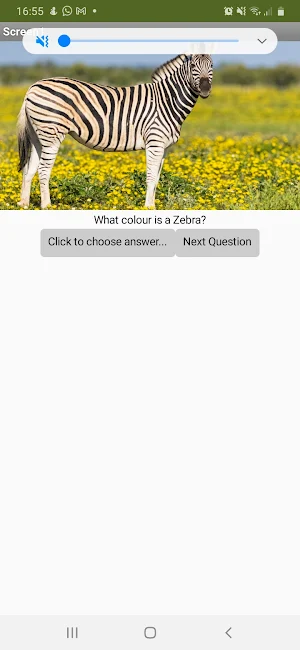 Quiz app Screenshot 0