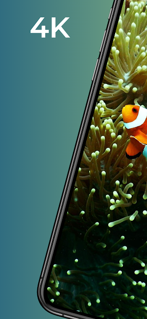 Fish wallpapers-4k Backgrounds Screenshot 0
