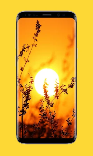 sun wallpapers Screenshot 0