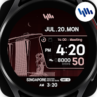 SamWatch Scenery 2022 SIN