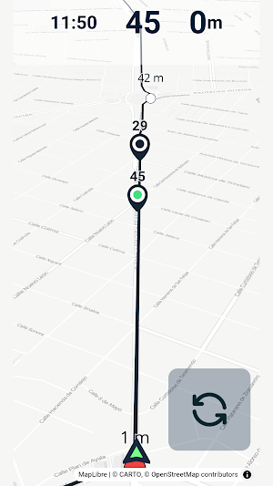 Caebes Copiloto Mapa Screenshot 0