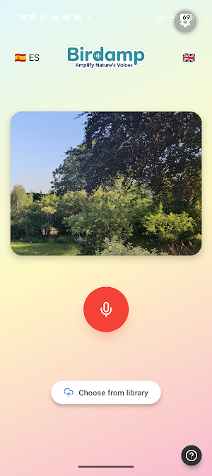 Birdamp Screenshot 0