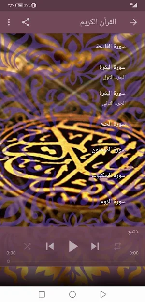 رعد الكردي بدون نت القران الكريم بجودة عاليةlجنة Screenshot 3