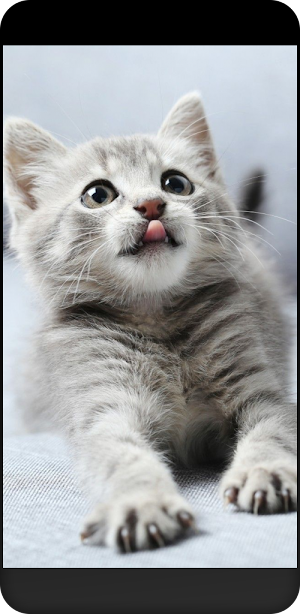 أجمل خلفيات للهاتف Screenshot 3