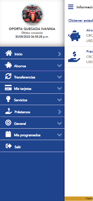 Caja de ANDE Digital Móvil Screenshot 2
