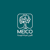 Middle East Insurance
