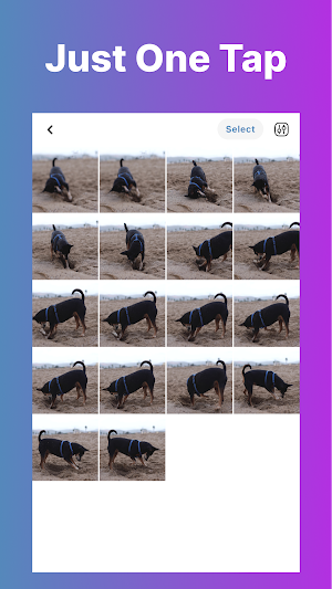 Video To Photo/Image Vid2Pic Screenshot 1