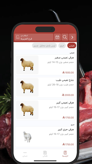 The Sheep | أغنام Screenshot 1