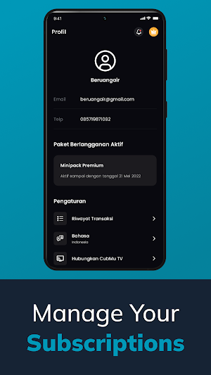 CubMu Screenshot 3