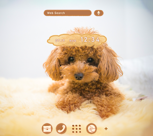 Toy Poodle Puppy Theme Screenshot 0