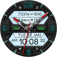 Hybrid FRAMED WS124 Watch face