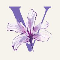 Vulvodynia Journey