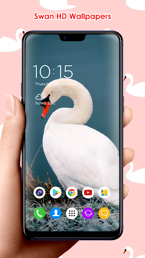 Swan HD Wallpapers Screenshot 3