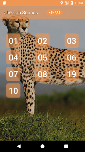 Cheetah (Animal) Sounds Screenshot 0