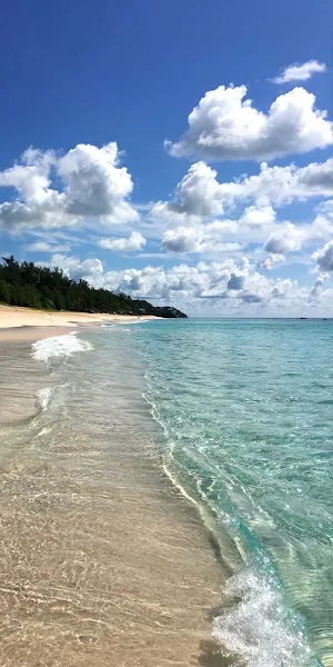 Beach Video Wallpapers Screenshot 1