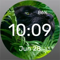 Resting Puma - Watch Face