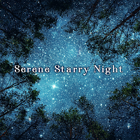 Serene Starry Night