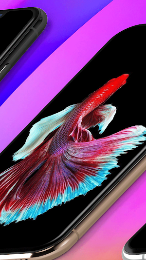Betta Fish Live Wallpaper 4K Screenshot 2