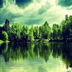 Nature Walpapers HD Screenshot 1