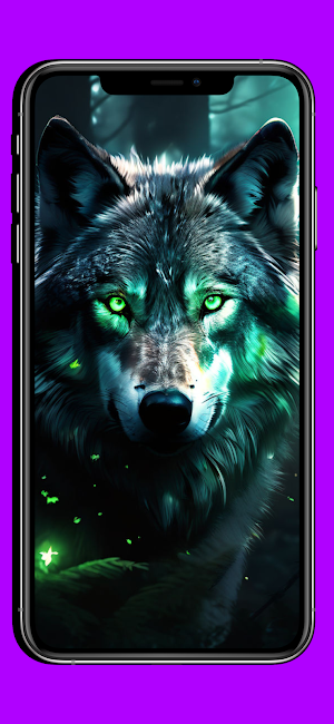 Wild Wolf HD Wallpapers 2024 Screenshot 3