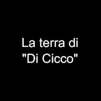 Le strade di Di Cicco