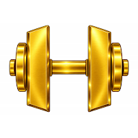 Hawks Gym