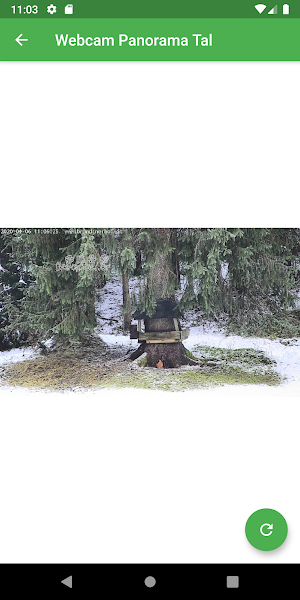 Brandtnerhof Screenshot 1