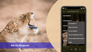 Lion Sounds - Real Lion Roar Screenshot 3