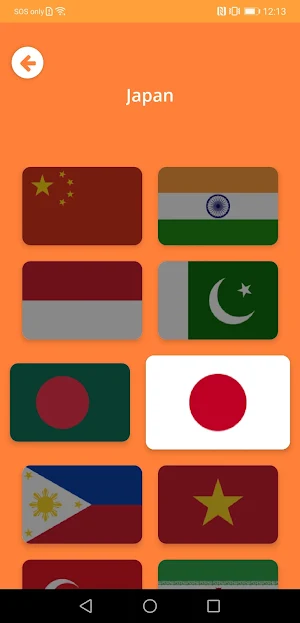 Flags 4 Fun Screenshot 3