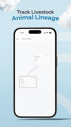 Ternusa Screenshot 2